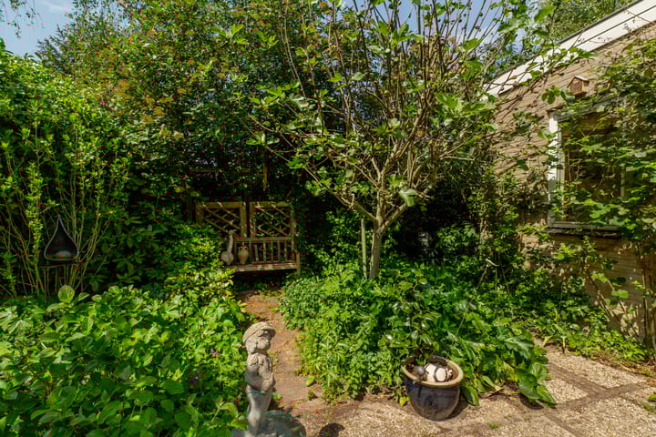 Foto 16 van Ratelaar 1