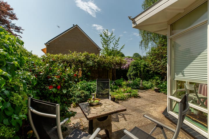 Foto 34 van Ratelaar 1