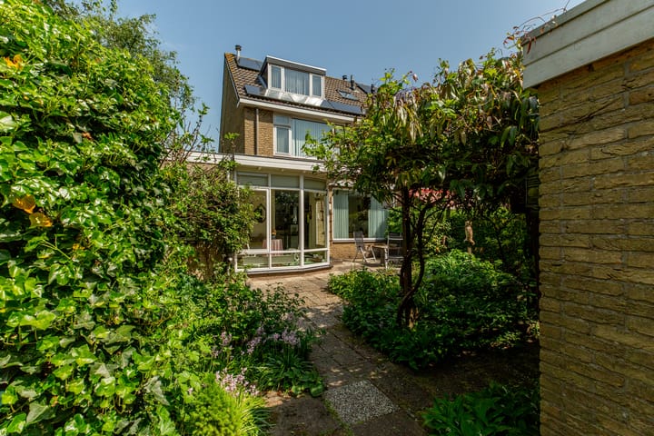 Foto 38 van Ratelaar 1