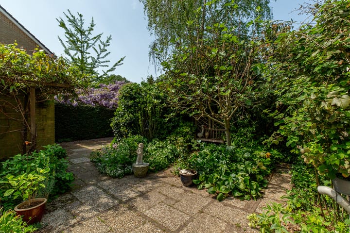 Foto 39 van Ratelaar 1