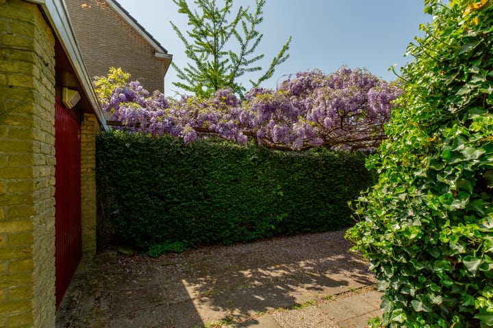 Foto 40 van Ratelaar 1