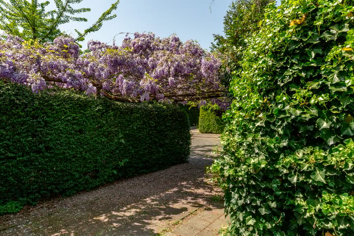 Foto 41 van Ratelaar 1