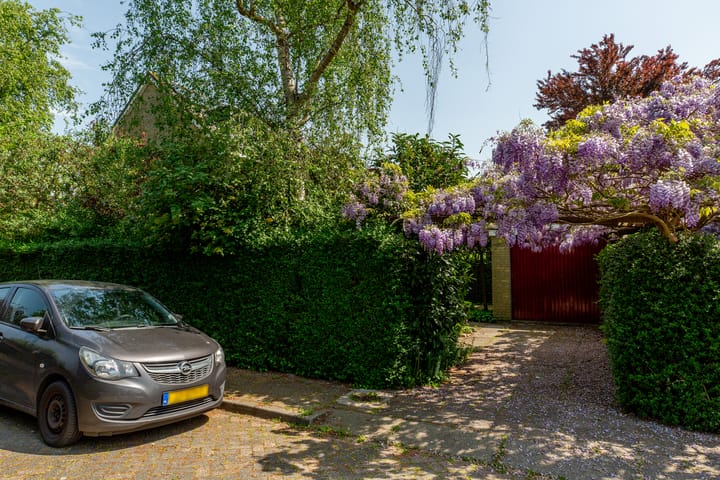 Foto 43 van Ratelaar 1