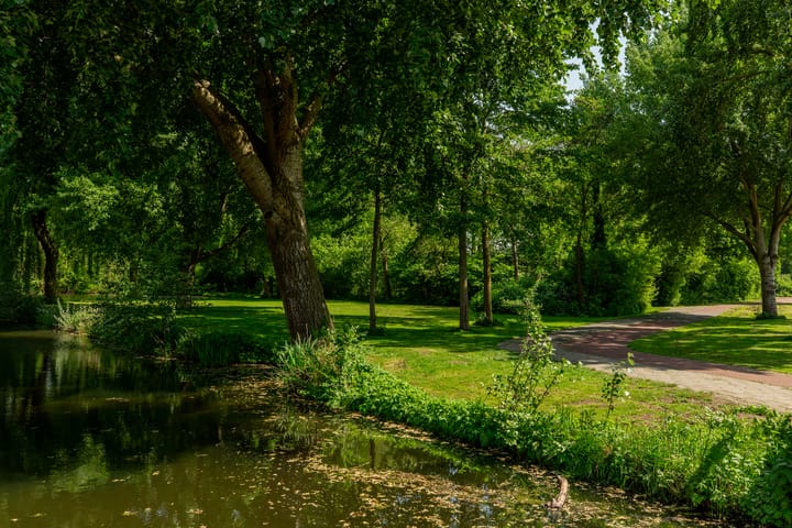 Foto 45 van Ratelaar 1