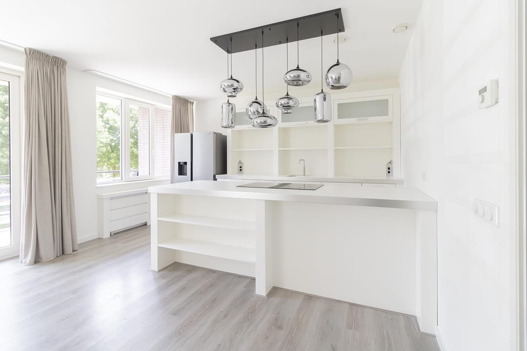 Foto 8 van Frans Hals 6