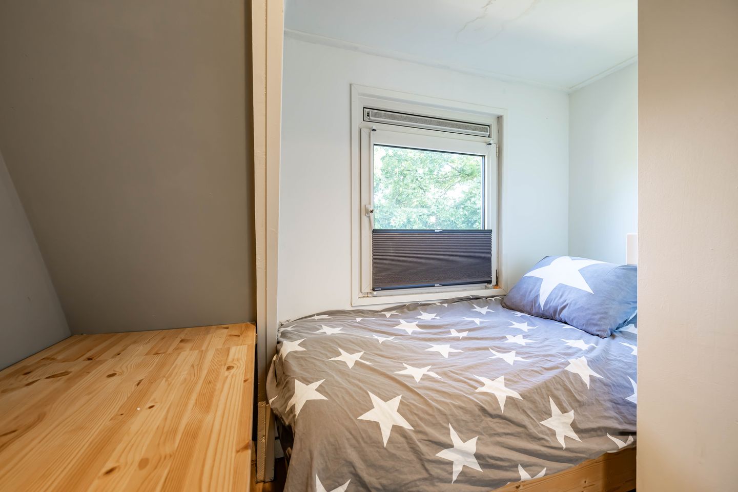 Foto 29 van Tuinbouwstraat 57-A