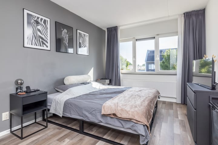 Foto 13 van Haspengouw 14