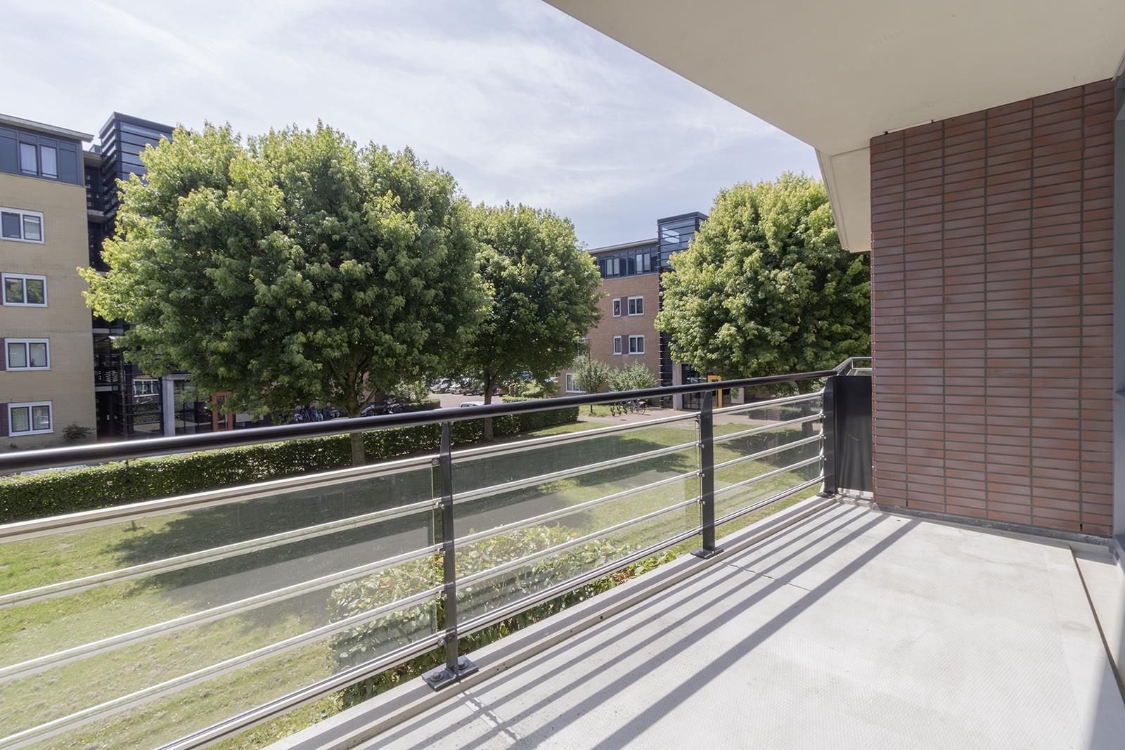 Foto 18 van Frans Hals 6