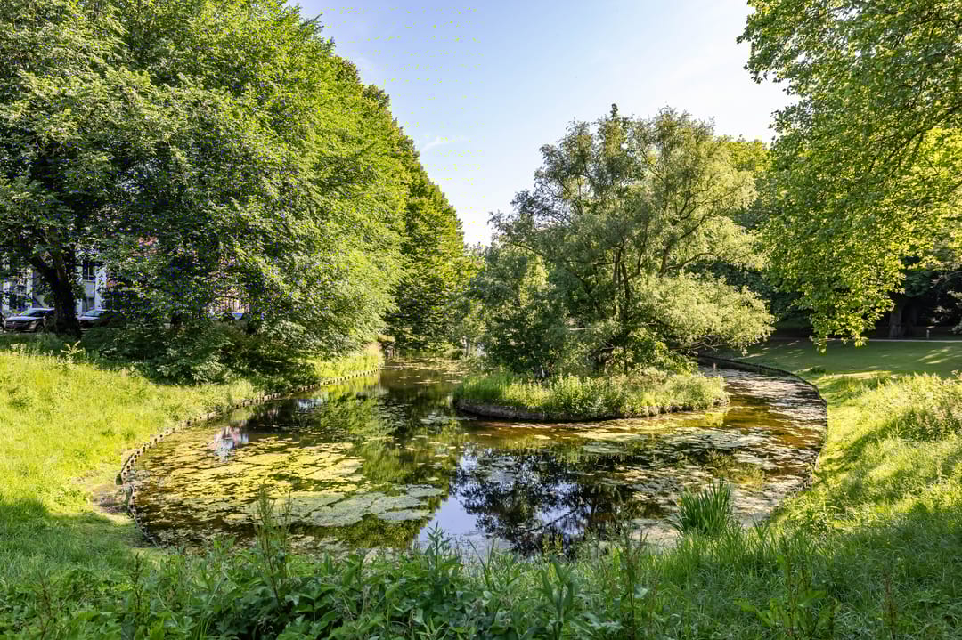 Foto 46 van Tuinbouwstraat 57-A