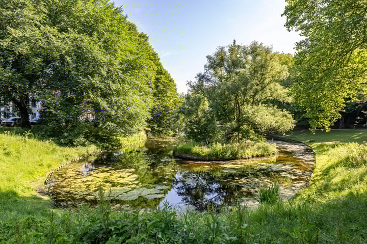 Foto 46 van Tuinbouwstraat 57-A