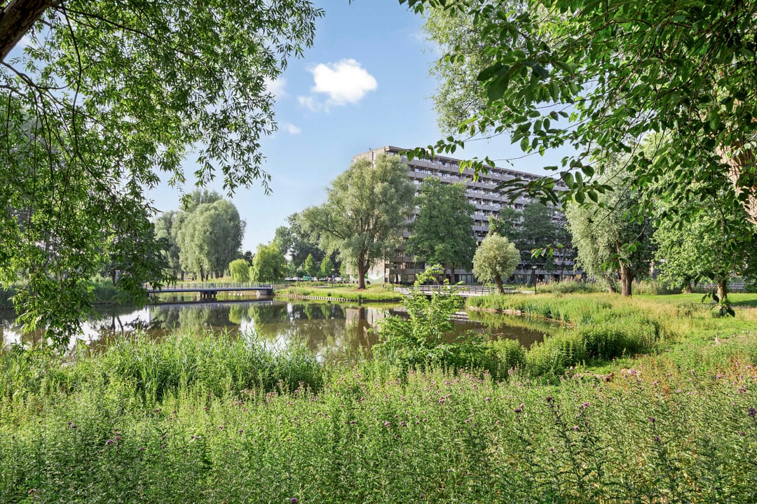 Foto 38 van Glitterstraat 138