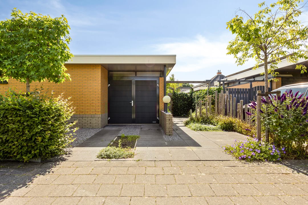 Foto 2 van Moerasvaren 53