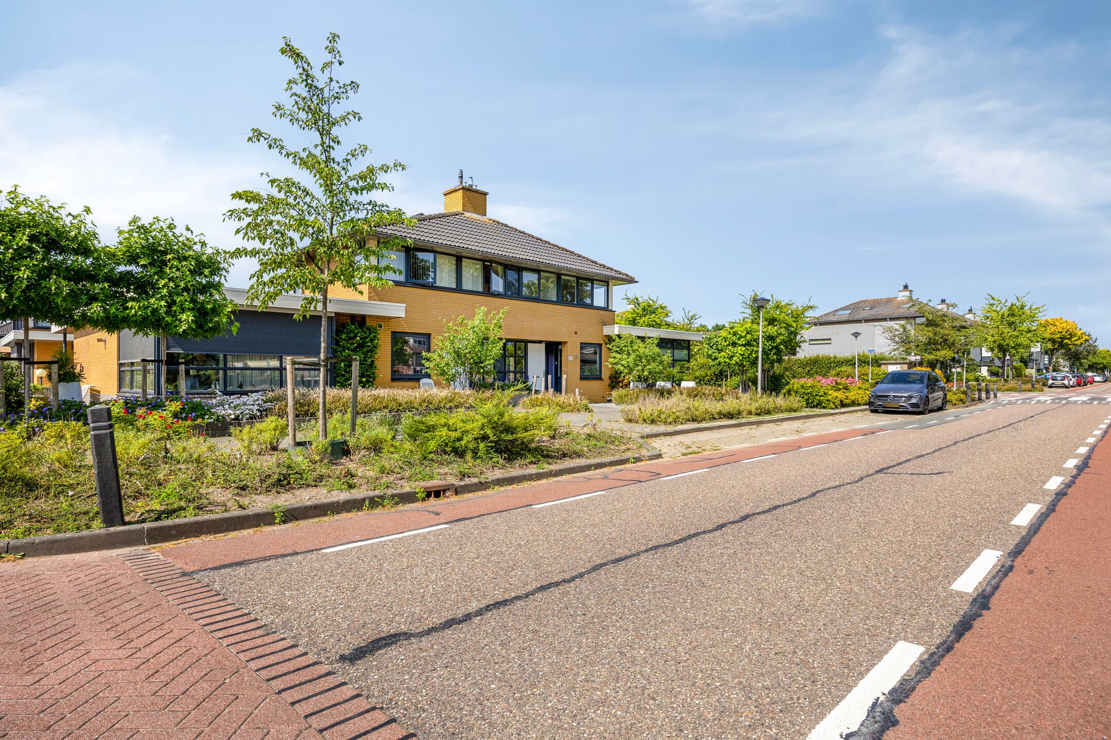 Foto 6 van Moerasvaren 53