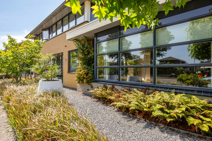 Foto 7 van Moerasvaren 53