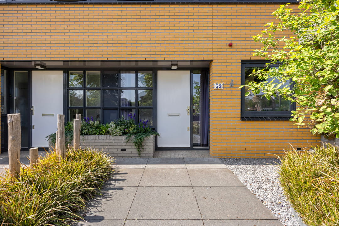 Foto 8 van Moerasvaren 53