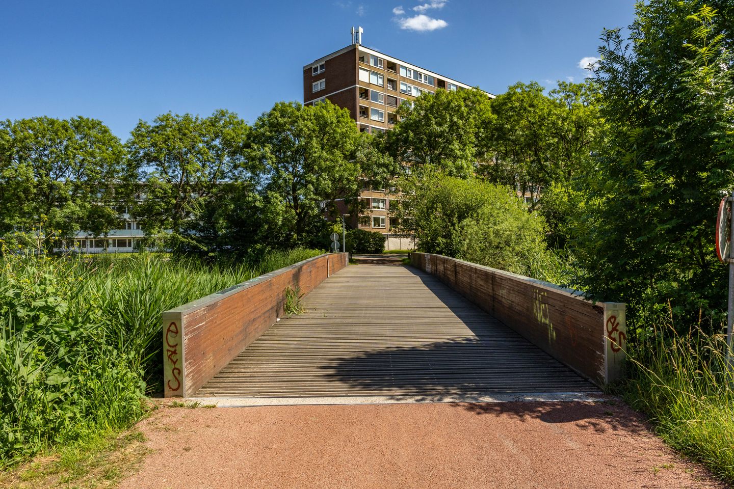 Photo 5 of Donderslaan 119