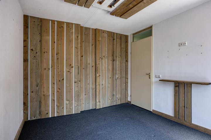 Foto 22 van Moerasvaren 53