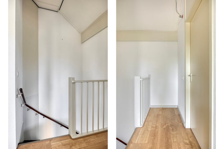 Foto 28 van Moerasvaren 53