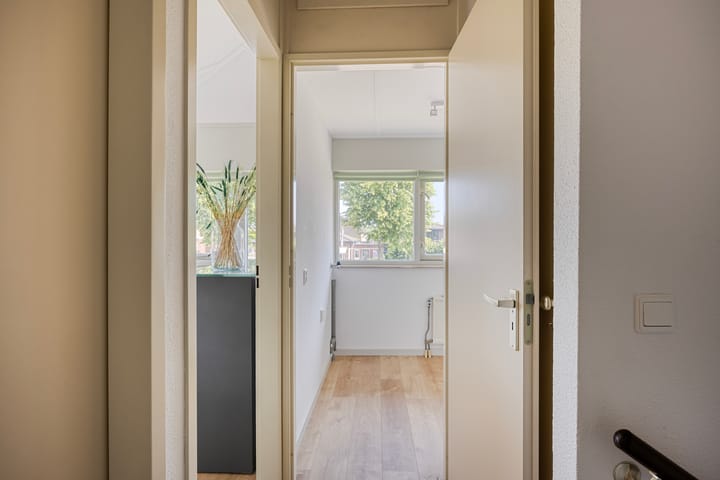 Foto 29 van Moerasvaren 53