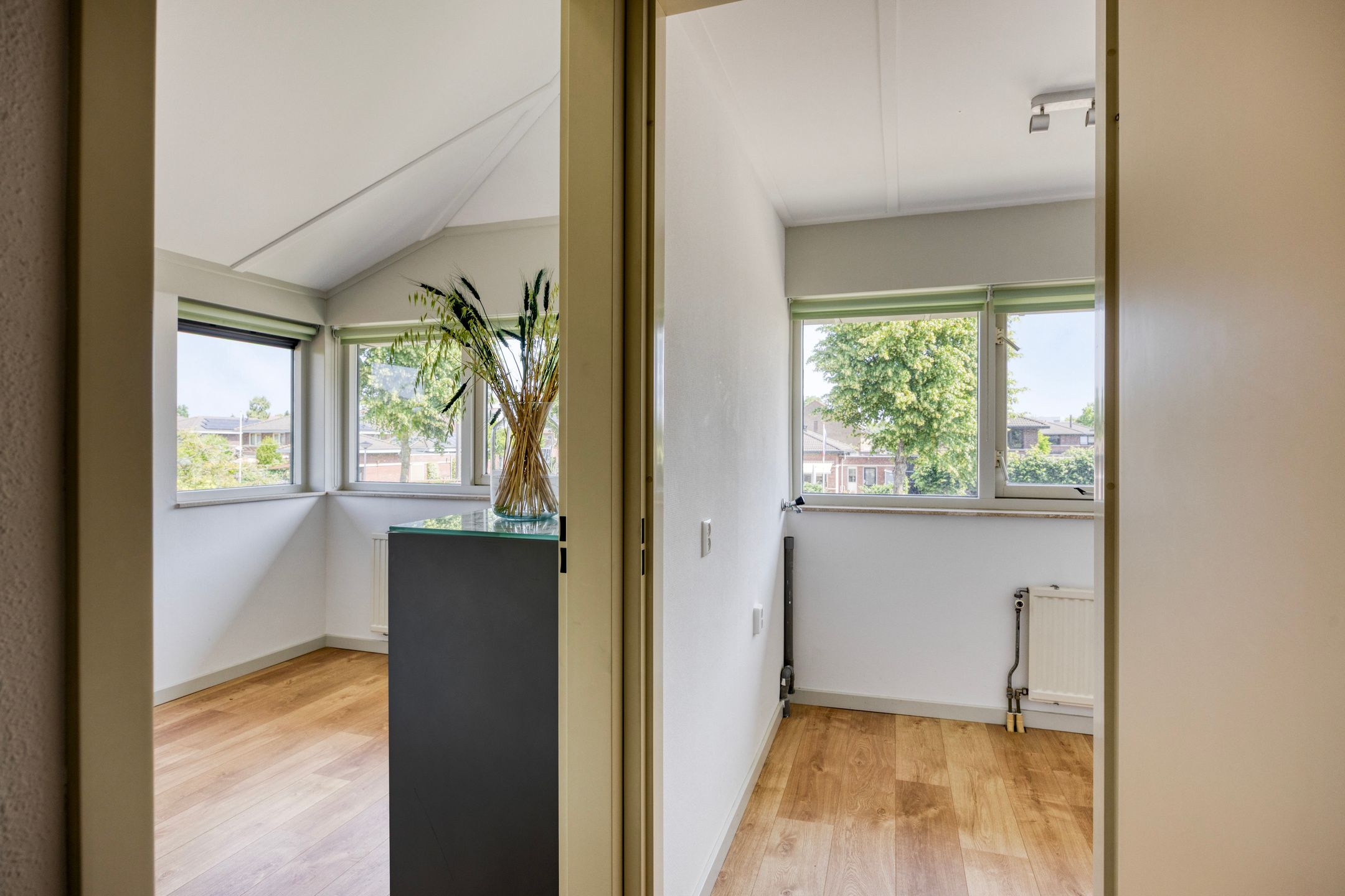 Foto 30 van Moerasvaren 53