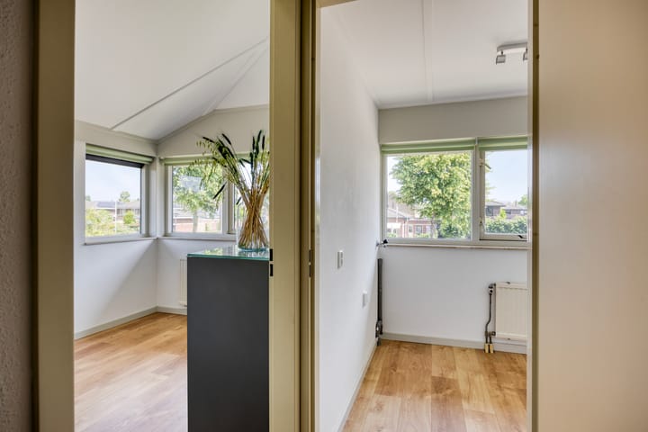 Foto 30 van Moerasvaren 53