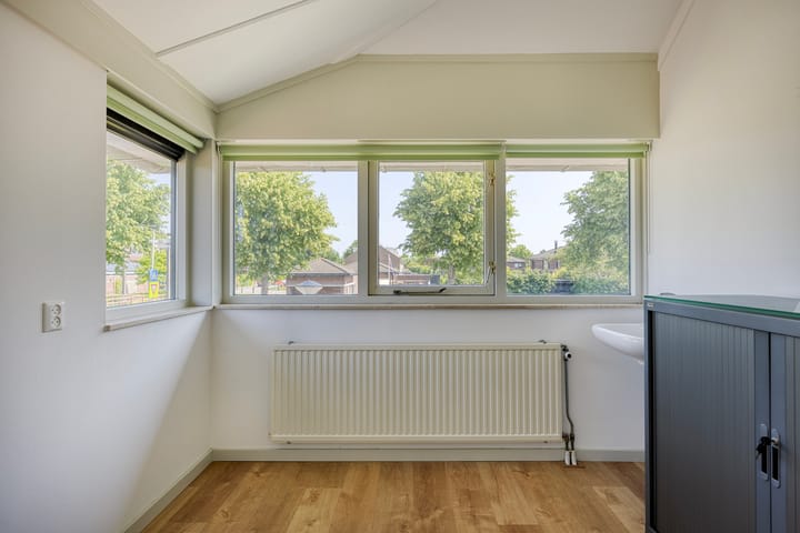 Foto 31 van Moerasvaren 53