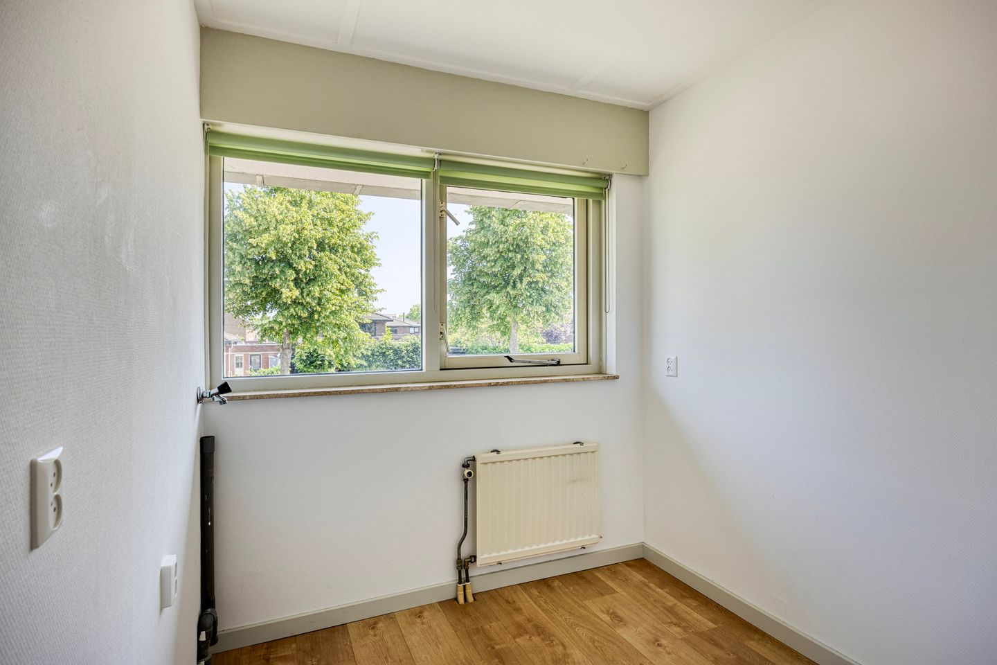 Foto 34 van Moerasvaren 53