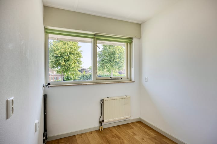 Foto 34 van Moerasvaren 53