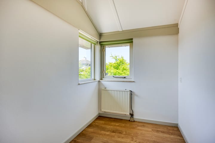 Foto 35 van Moerasvaren 53