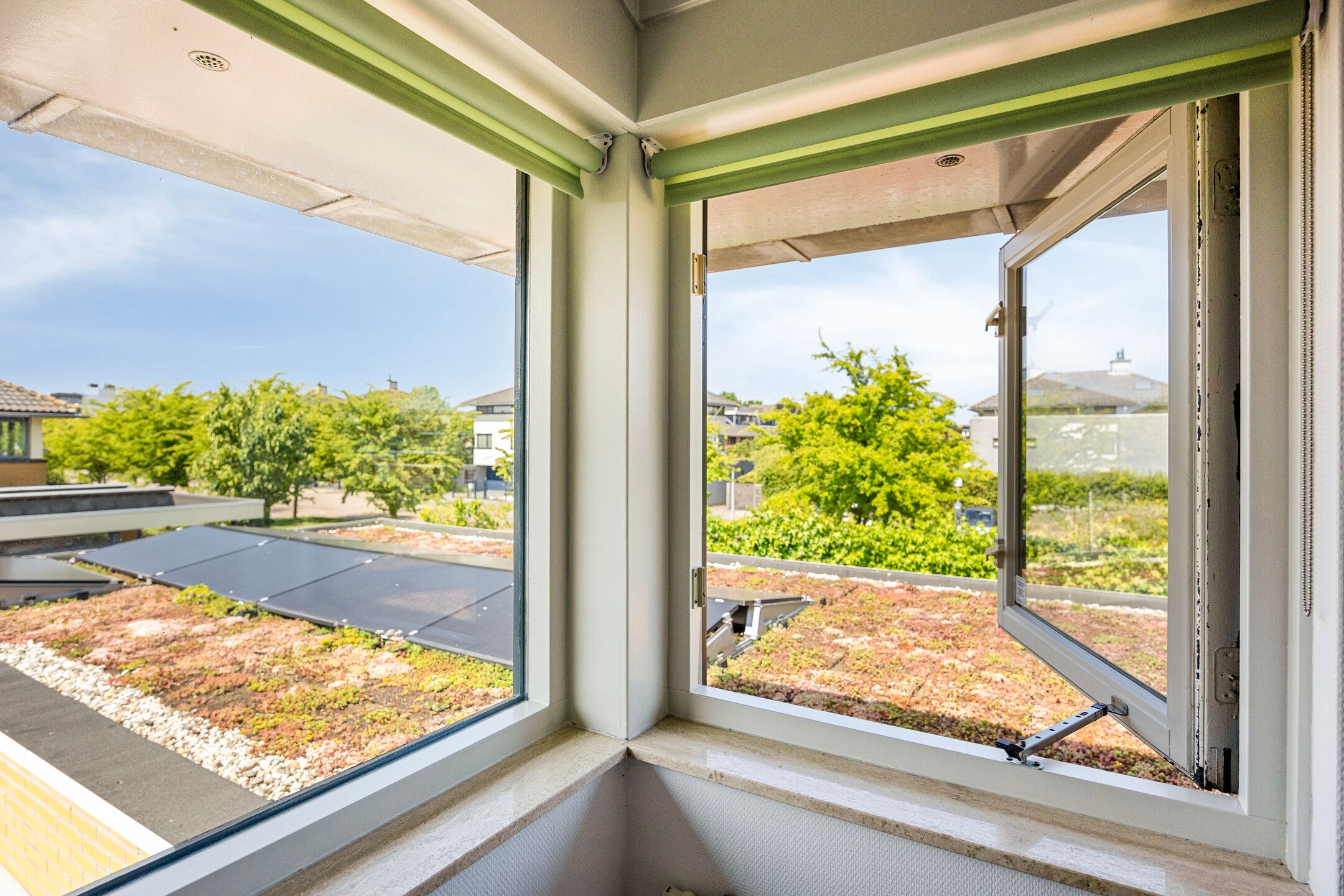 Foto 36 van Moerasvaren 53