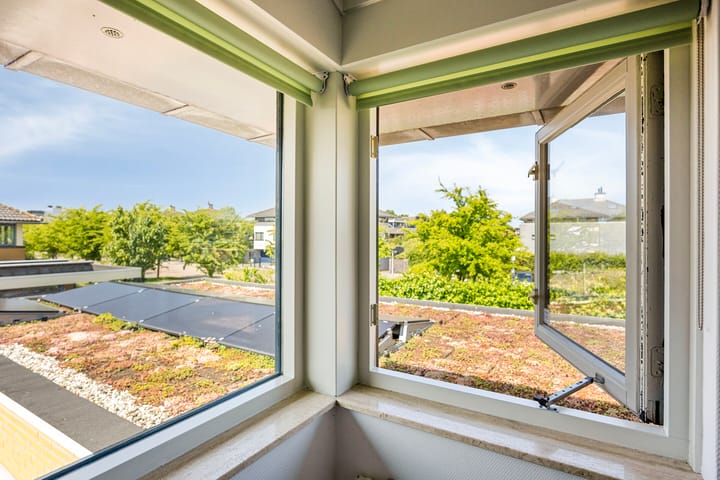 Foto 36 van Moerasvaren 53