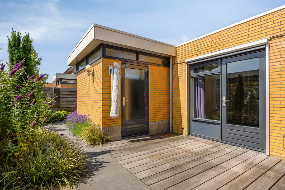 Foto 37 van Moerasvaren 53