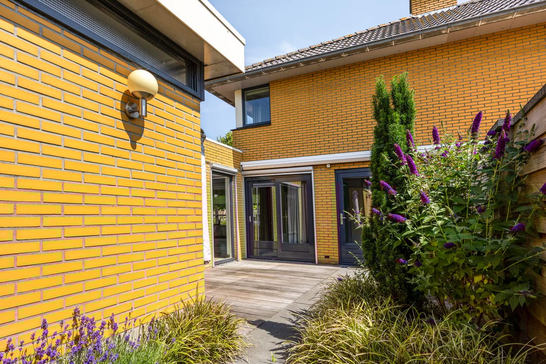 Foto 38 van Moerasvaren 53