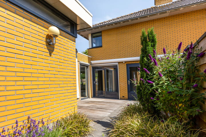 Foto 38 van Moerasvaren 53