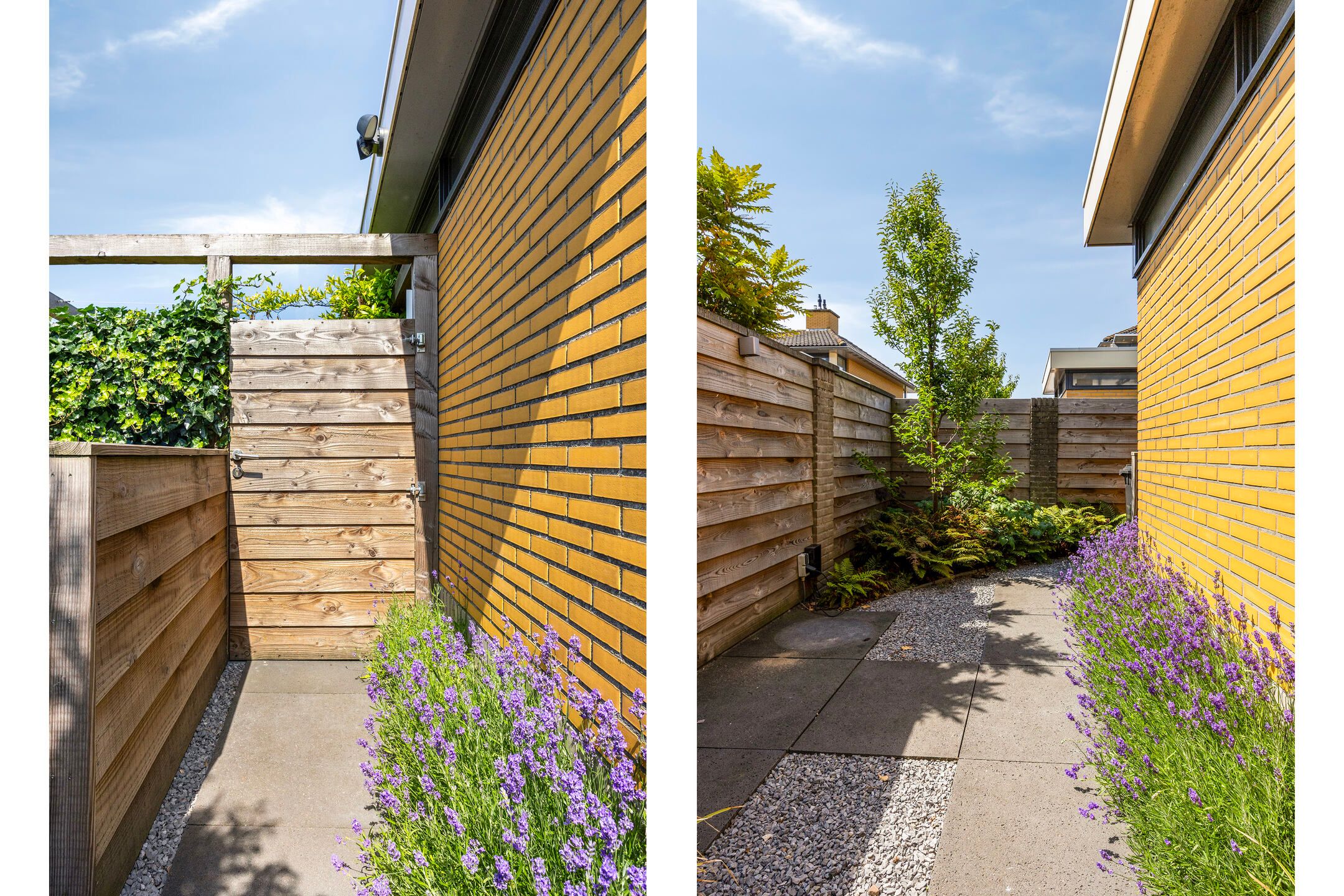 Foto 42 van Moerasvaren 53