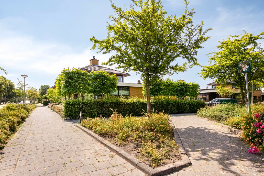 Foto 43 van Moerasvaren 53