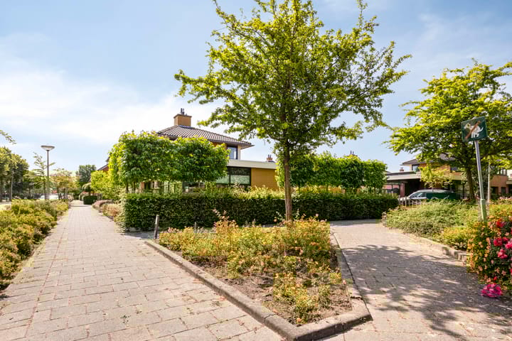 Foto 43 van Moerasvaren 53