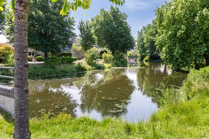 Foto 44 van Moerasvaren 53