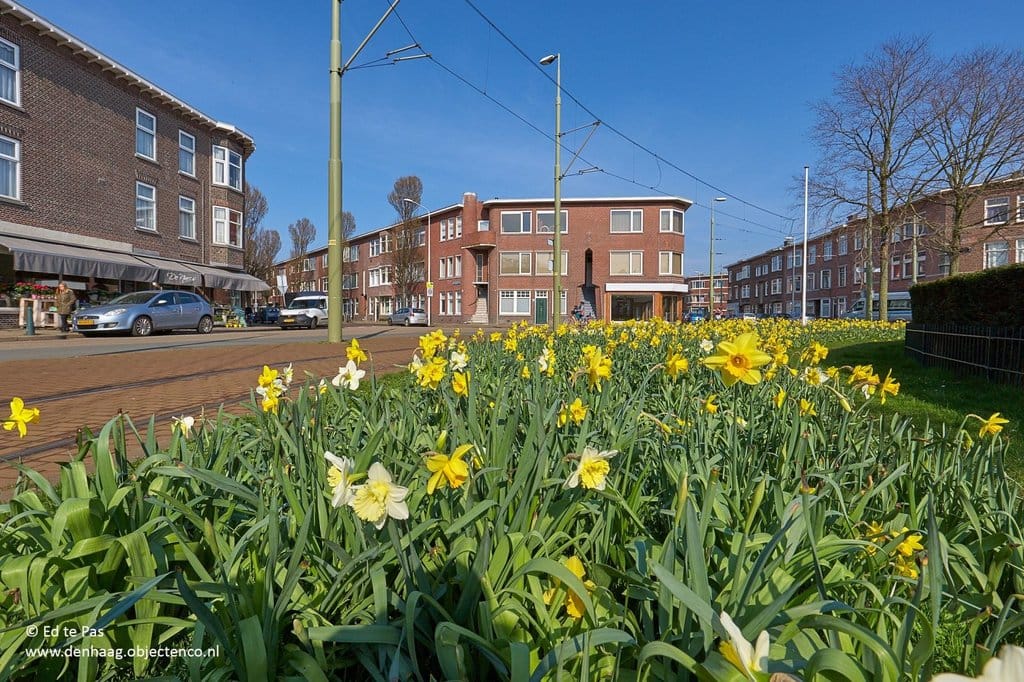 Foto 25 van Johannes Camphuijsstraat 216