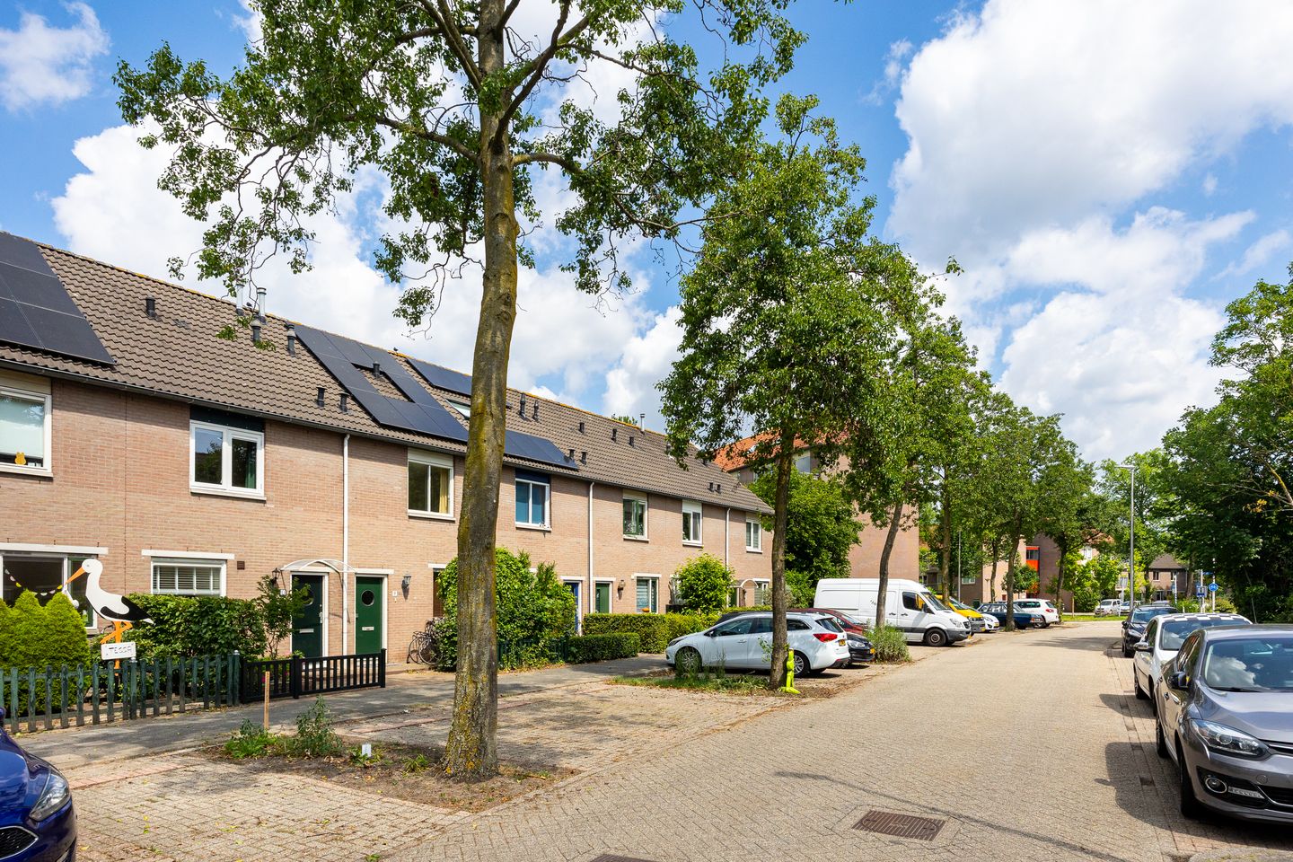 Foto 1 van Galápagos 11