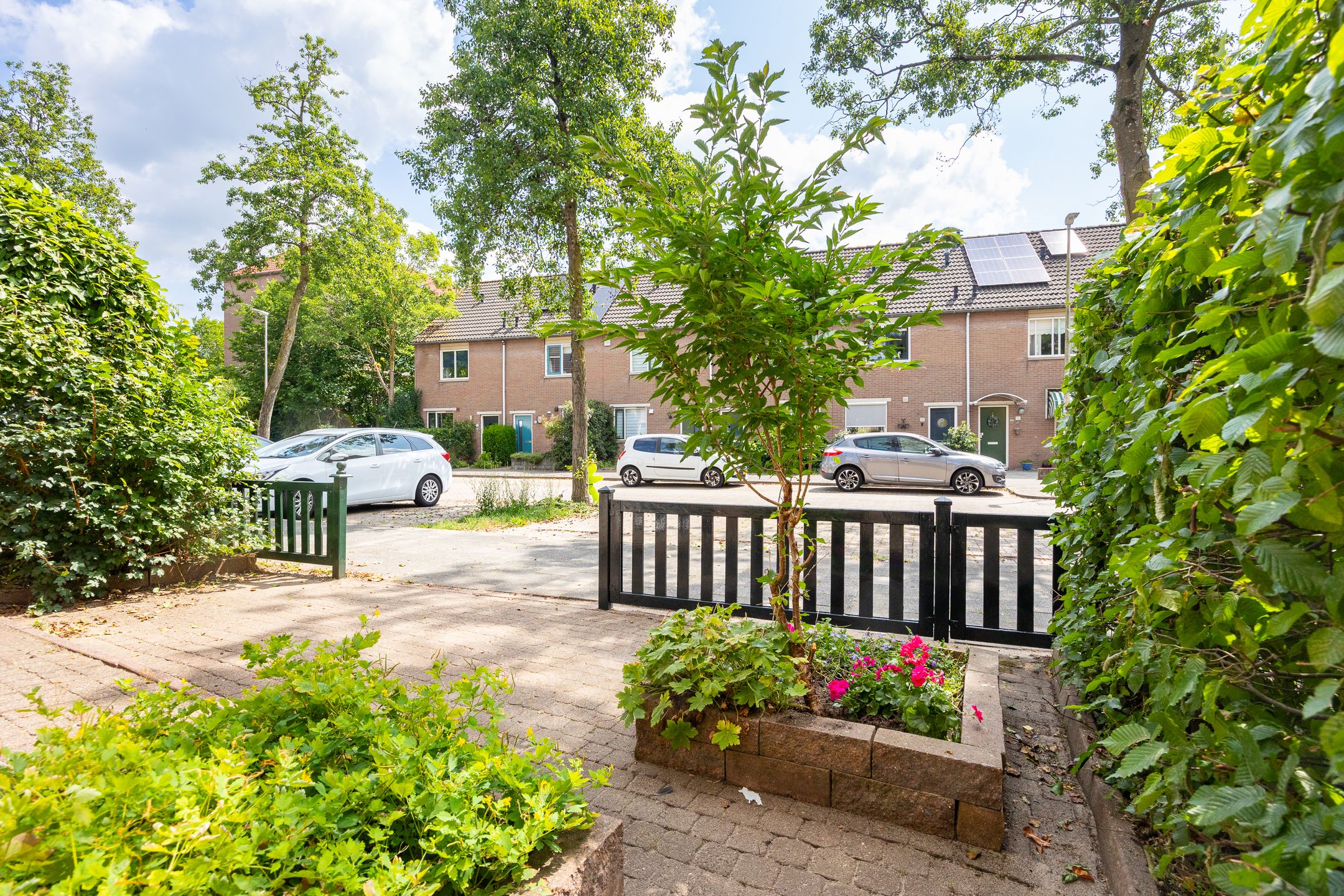 Foto 24 van Galápagos 11