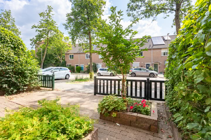 Foto 24 van Galápagos 11