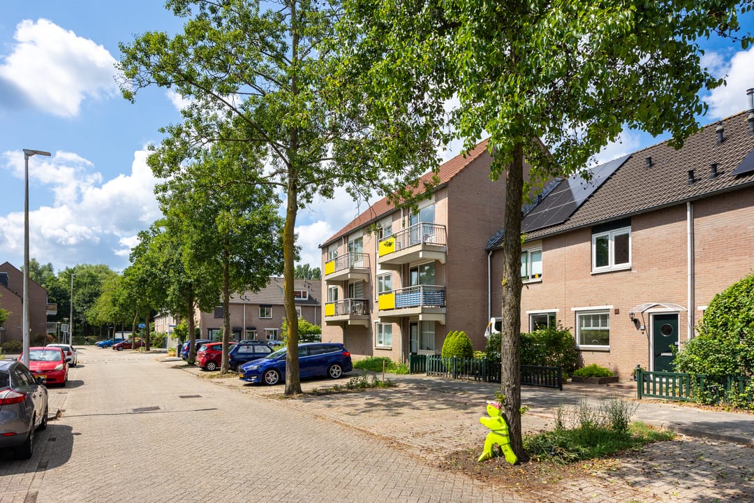 Foto 26 van Galápagos 11