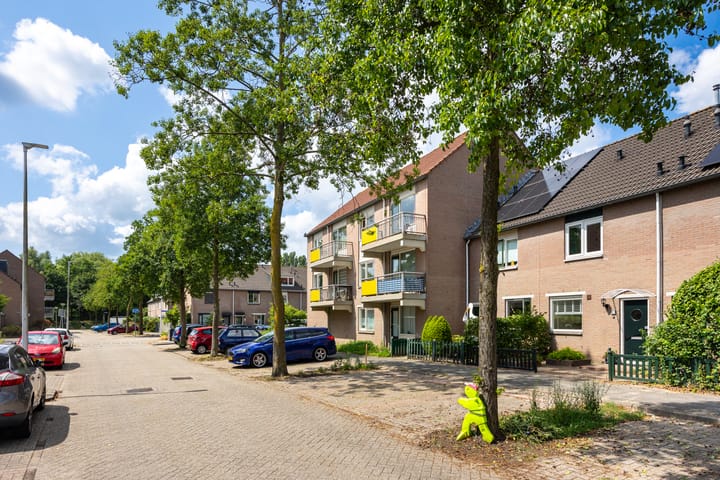 Foto 26 van Galápagos 11