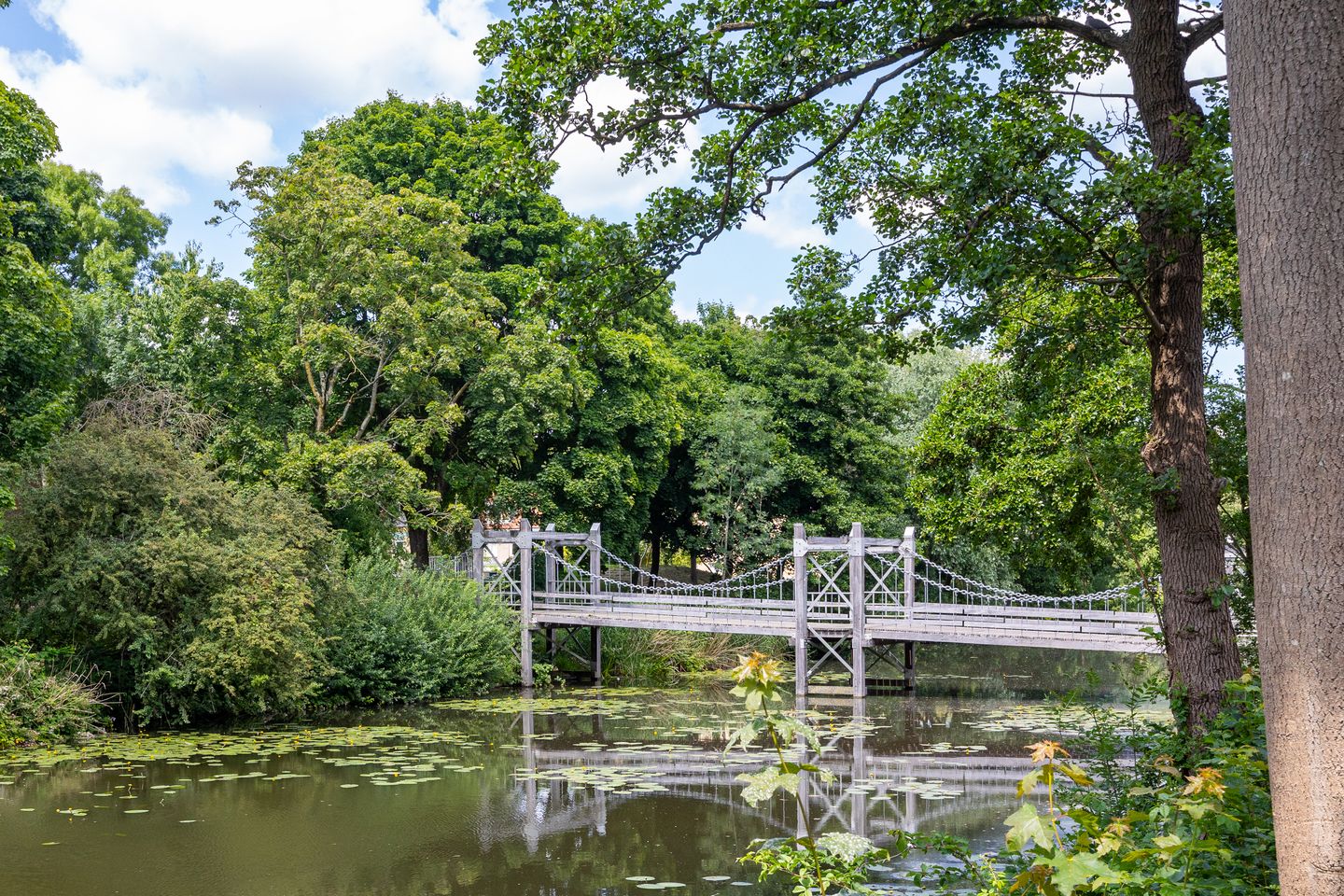 Foto 34 van Galápagos 11