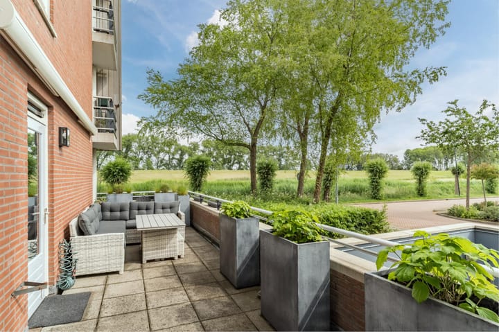 Foto 2 van Maïsveld 20