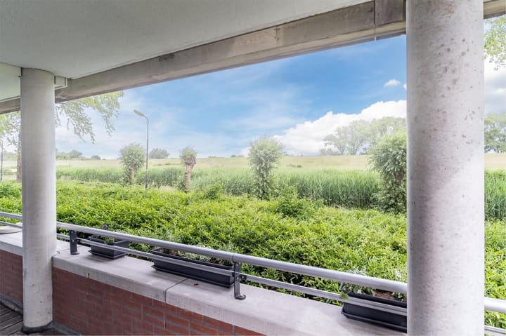 Foto 32 van Maïsveld 20