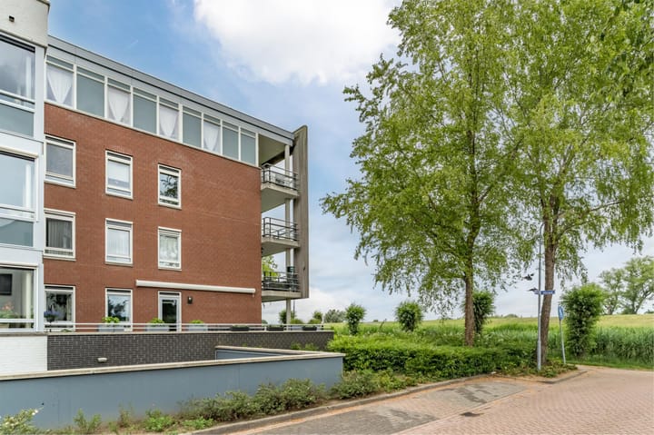 Foto 38 van Maïsveld 20