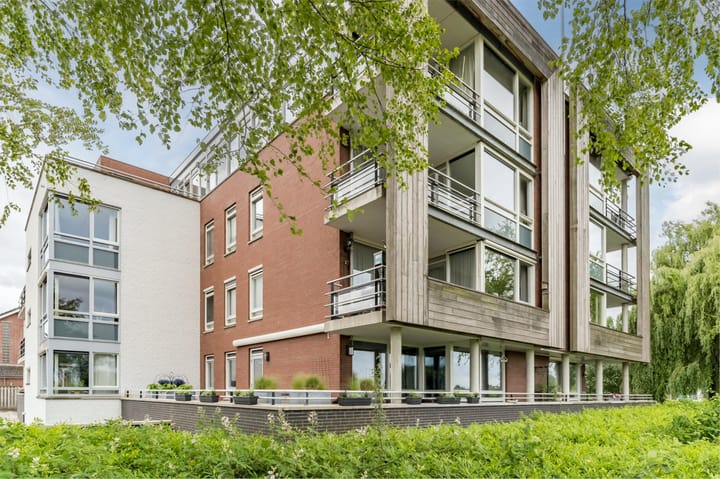 Foto 40 van Maïsveld 20