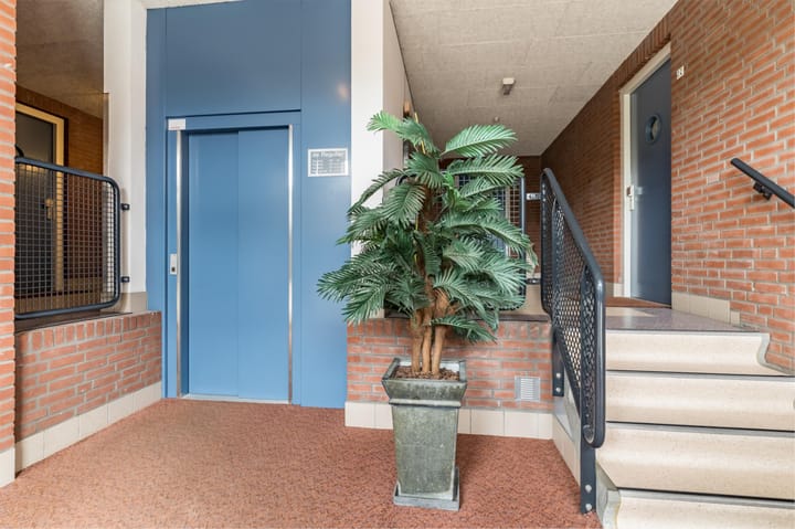 Foto 45 van Maïsveld 20